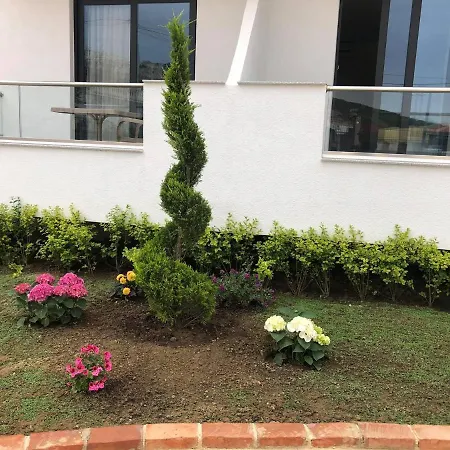 Adriatik קסאמיל